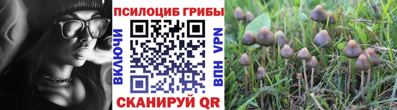 Псилоцибиновые грибы прущие грибы  blacksprut маркетплейс  Анапа  магазин  наркотиков 